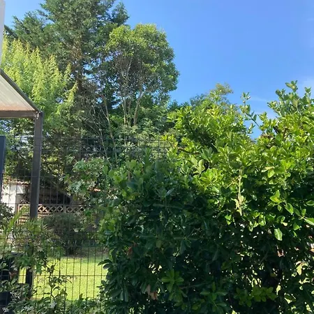 Holiday home Cozy Oasis: Quiet 2-room With Terrace And Free Parking *